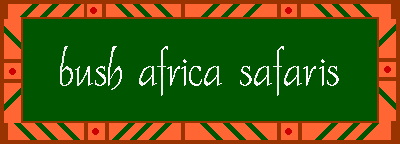 Bush Africa Safaris Logo